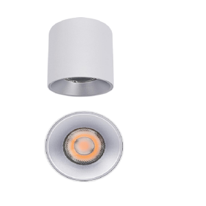 Downlight PFM Surface IP20