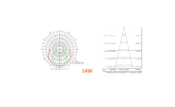 Linear - Imagen 5
