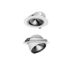Spotlight Vario